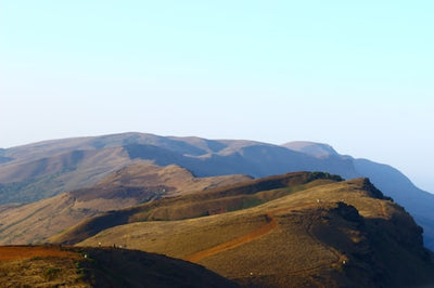 Kalonji